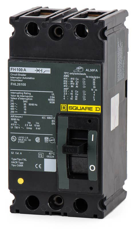 Square D FHL26100 - 100A 2 Pole Molded Case Circuit Breaker