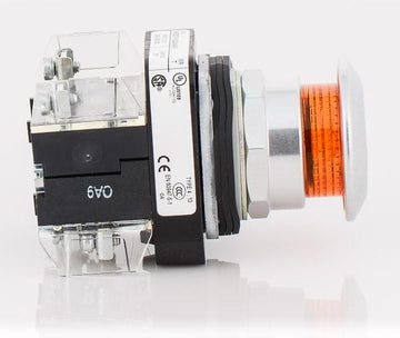 Allen-Bradley 800T-FXQ24AA1 Push Button