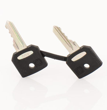 Schneider Electric ZBG455 Selector Switch Keys
