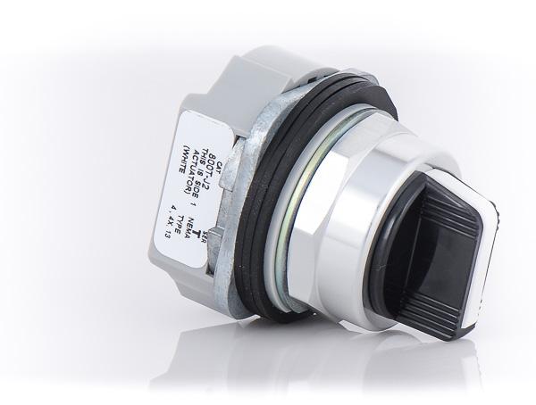 Filename_31_bf368139-fa91-4400