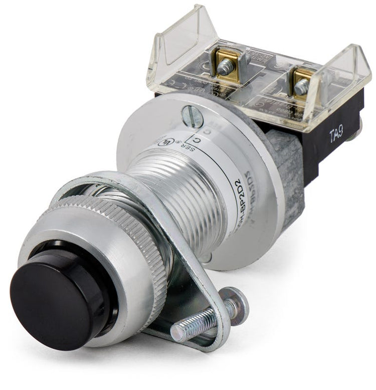 Allen-Bradley 800H-BP2D2 Extended Head Push Button