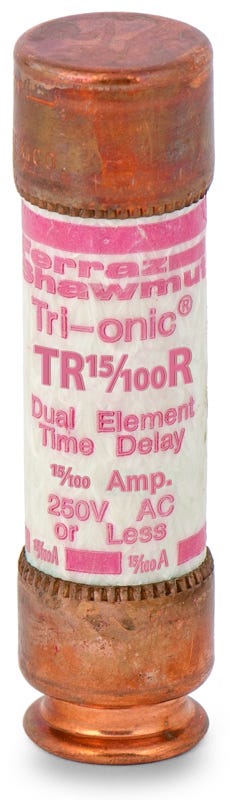 Mersen/Ferraz Shawmut TR15-100R Time Delay Fuse