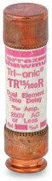Mersen/Ferraz Shawmut TR15-100R Time Delay Fuse